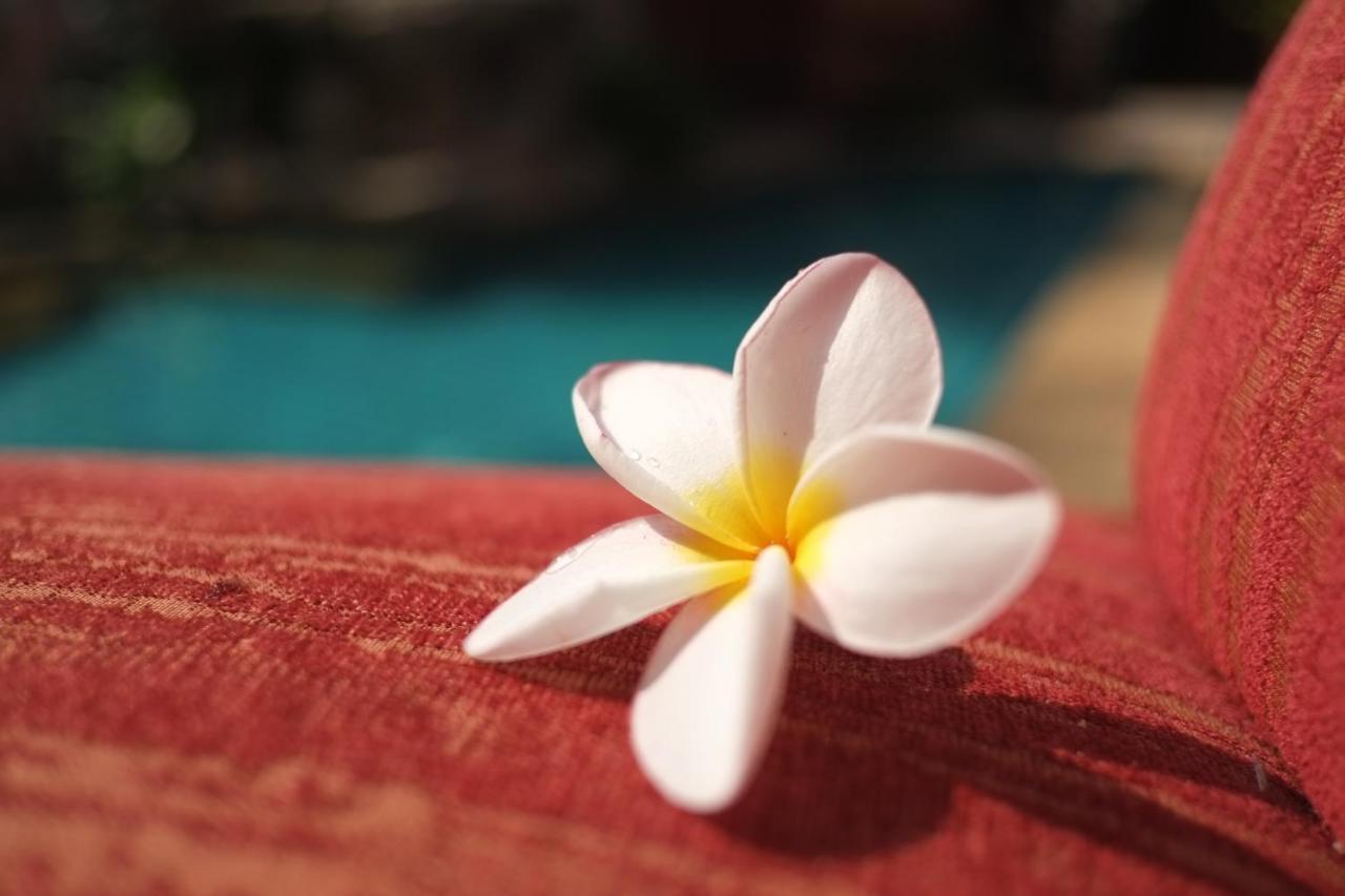 พระตำหนักวิลล่า 10 ห้องนอน พร้อมสระว่ายน้ำส่วนตัว Pattaya Ngoại thất bức ảnh